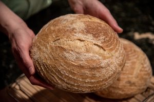 Dutch Oven Bread using All-Purpose Flour